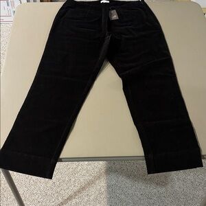 J. Jill Women’s Corduroy Pants in Walnut NWT Size 8P